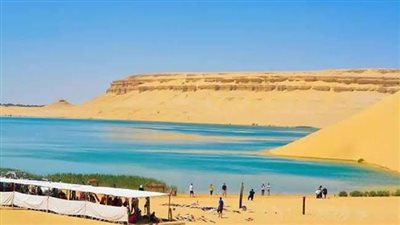 حالة الطقس غدا الخميس ١٥-١٢-٢٠٢٢ في محافظة الفيوم 