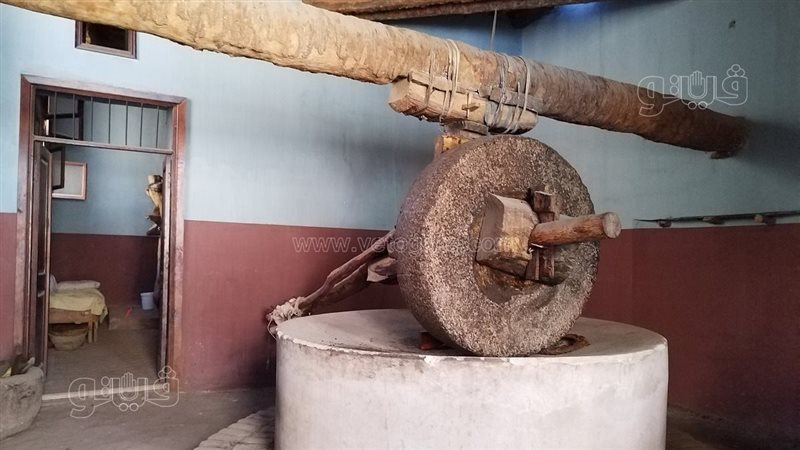 معصرة بكور للزيوت،فيتو