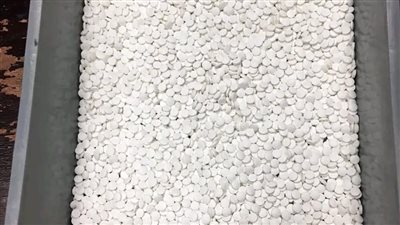 إحباط تهريب 6600 قرص مخدر بحوزة راكبة بمطار الغردقة 