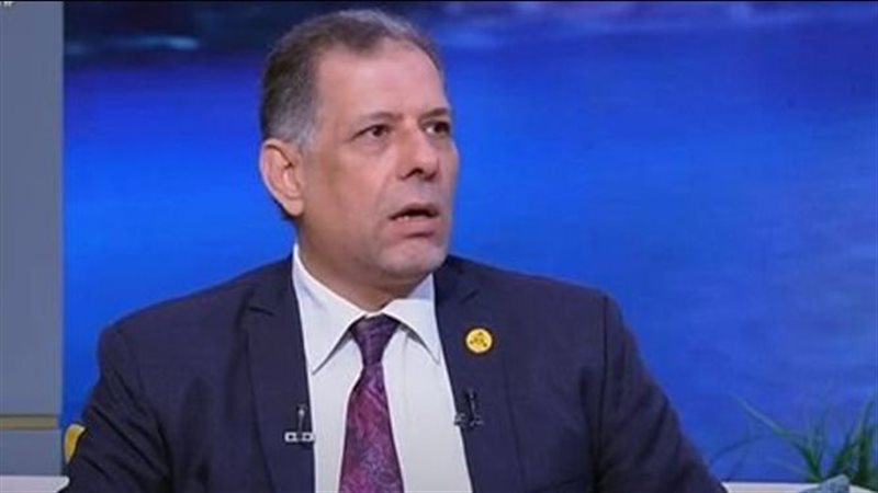 سعيد حسانين استشاري