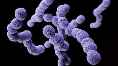 عدوى المكورات العقدية، مرض جديد يجتاح بريطانيا