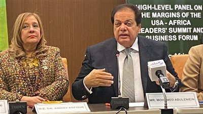 أبو العينين أمام قادة الولايات المتحدة وإفريقيا: مبادرات السيسي ستحدث نقله استثمارية وحضارية بالقارة السمراء