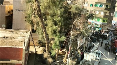 أمن سوهاج يكشف صاحب نسناسين أثارا الذعر بين مرضى وزوار مستشفى طهطا