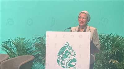 وزيرة البيئة تشارك في حوار رؤساء وكالات الأمم المتحدة