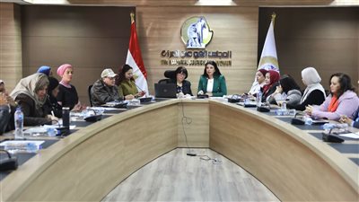 القومي للمرأة ينظم ندوة لوقف العنف ضد النساء 