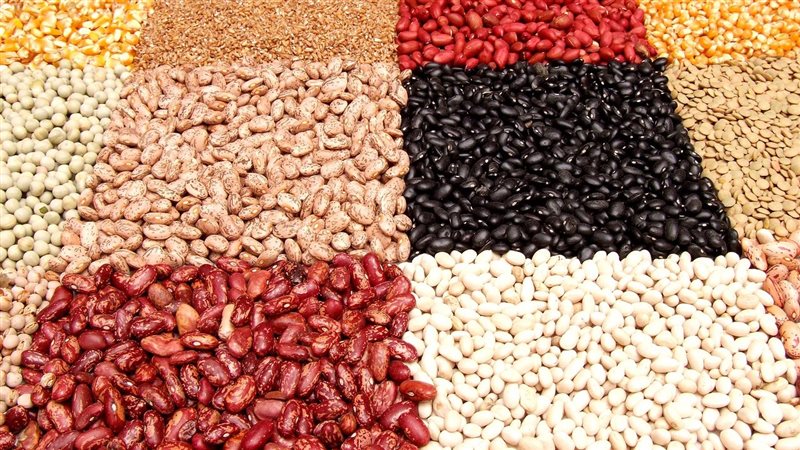 اسعار الذهب اليوم،