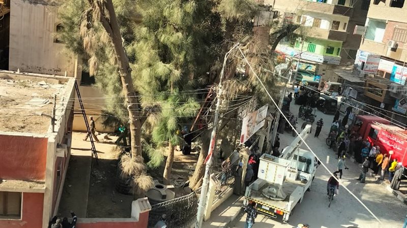 النسانيس تثير ذعر