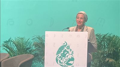 وزيرة البيئة: فقدان أكثر من نصف أنواع الطيور والثدييات بحلول عام 2100