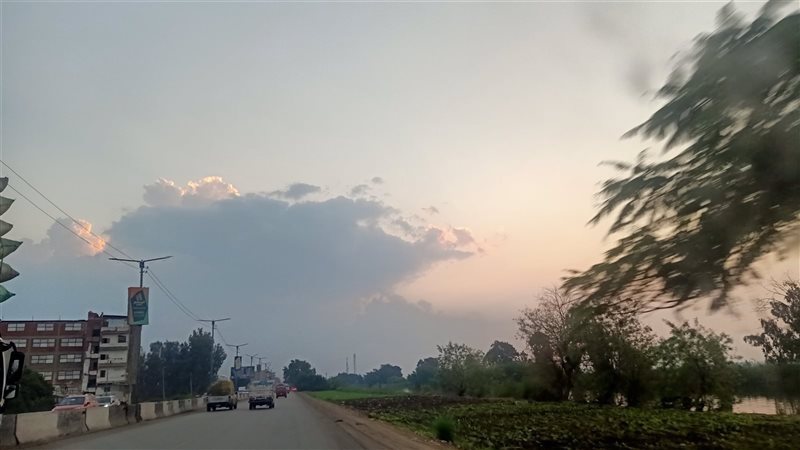طقس الدقهلية،فيتو