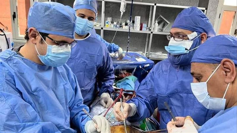 بنها الجامعي، فيتو