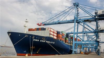 تداول 30 سفينة بضائع متنوعة داخل ميناء دمياط