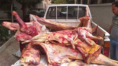 ضبط 133 كيلو لحوم فاسدة وتحرير 20 محضر مخالفة ببولاق الدكرور
