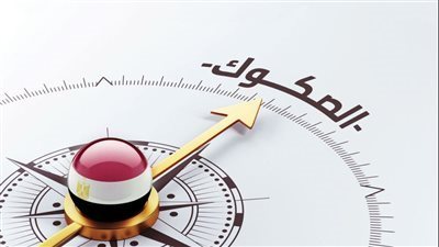 الضوابط اللازمة لإنشاء شركة التصكيك السيادي بالقانون