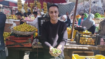 مع نهاية موسمه بالأسواق..أسعار محصول الزيتون في البحيرة (فيديو)