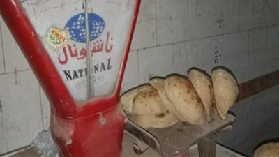 تحرير 337 محضرا تموينيا في المنوفية 