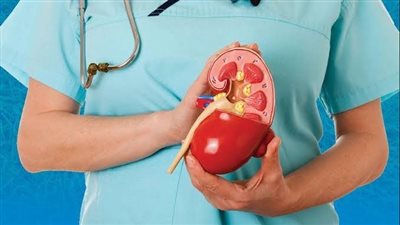 موسم الحج 2024، نصائح لمرضى الكلى لأداء مناسك الحج بأمان 