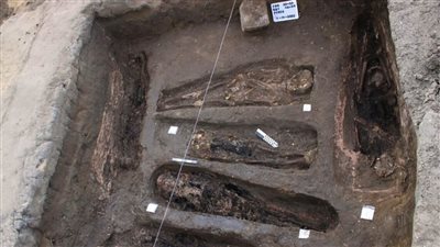 الحكومة تعلن كشفا أثريا بدمياط الجديدة (صور) 