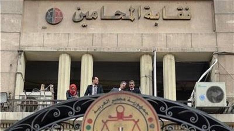 نقابة المحامين،فيتو