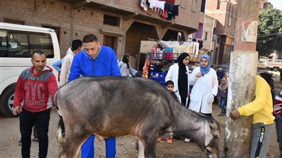 جامعة سوهاج تطلق قافلة بيطرية لقرية الرويهيب (صور)