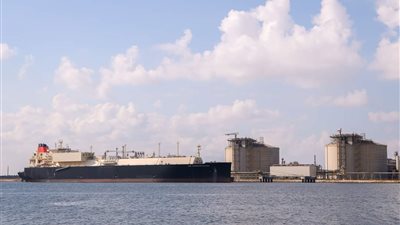  تداول 33 سفينة بضائع متنوعة في ميناء دمياط 