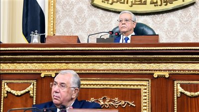 السيد القصير يستعرض أمام النواب حجم الاستثمارات فى قطاع الزراعة 