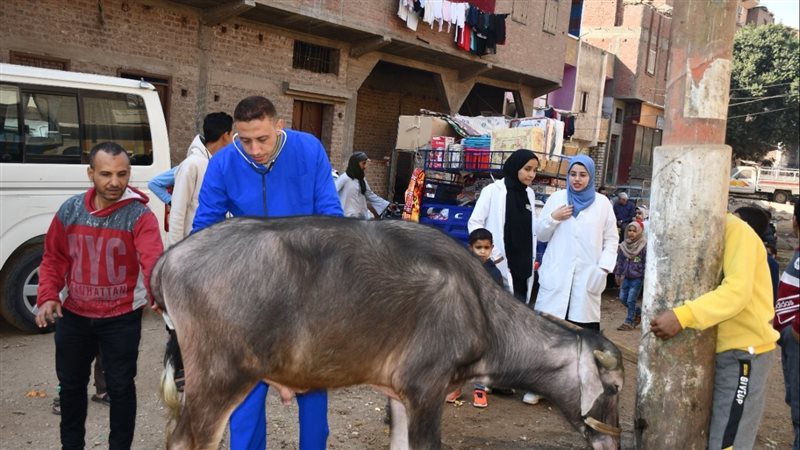  قافلة بيطرية، فيتو