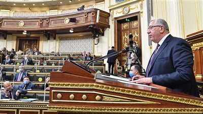 وزير الزراعة: ننتج 2 مليون طن أسماك سنويا بنسبة اكتفاء ذاتي تصل لأكثر من 85 %