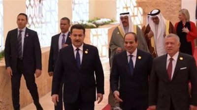 مباحثات مصرية فرنسية أردنية عراقية كويتية