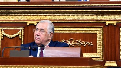 وزير الزراعة أمام مجلس النواب: هناك تنسيق دائم بين السلطتين التنفيذية والتشريعية 