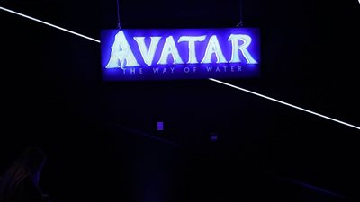 الشناوي ومهران وعزت أمين ضيوف احتفالية Avatar 2 بألماظة (صور)  