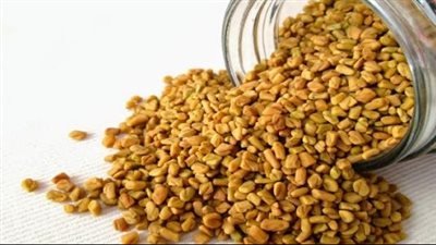 فوائد الحلبة الحصى، تجعلك تتناولينها يوميا