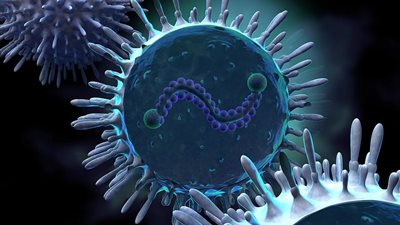 الصحة تحذر من الفيروس المخلوي التنفسي: يغير نشاطه كل شتاء (فيديو) 