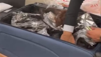 أخبار مطار القاهرة، ضبط راكبة حاولت تهريب 48 كيلو شعر طبيعي (صور) 