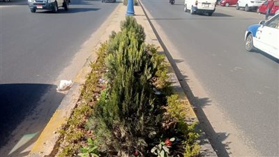 طفرة في تطوير شارع 23 يوليو ببورسعيد، دهانات ورصف وبالوعات مطر جديدة ( صور)