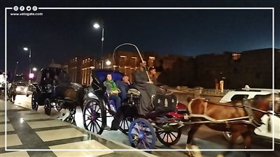 التحطيب خير سفير للسياحة، سائحون يجوبون كورنيش الأقصر بالحنطور (فيديو)