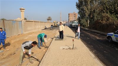 محافظ المنوفية يتفقد أعمال الرصف والتطوير في قويسنا