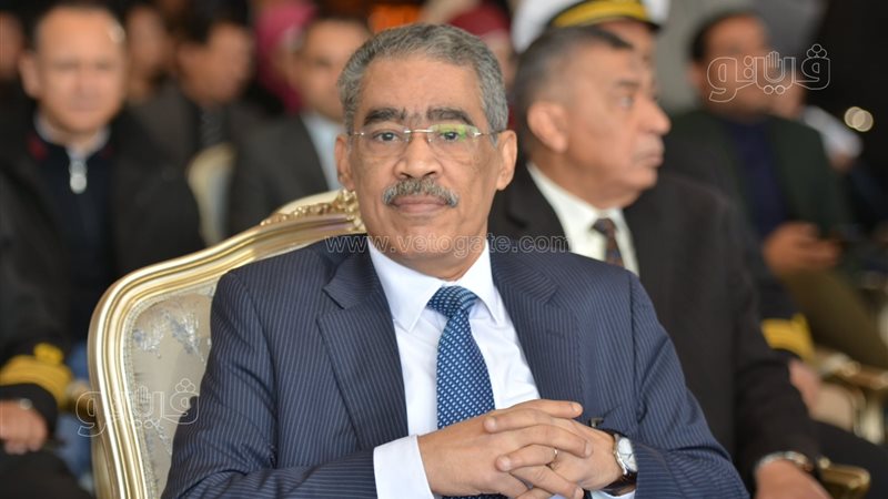 ضياء رشوان، فيتو
