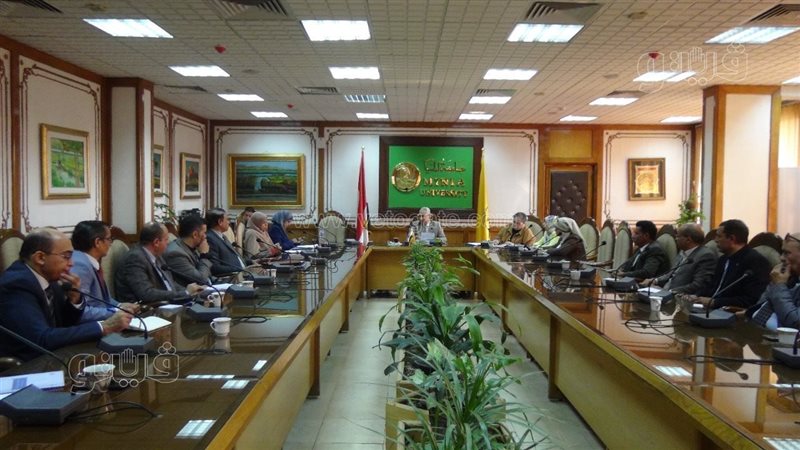 مجلس جامعة المنيا،