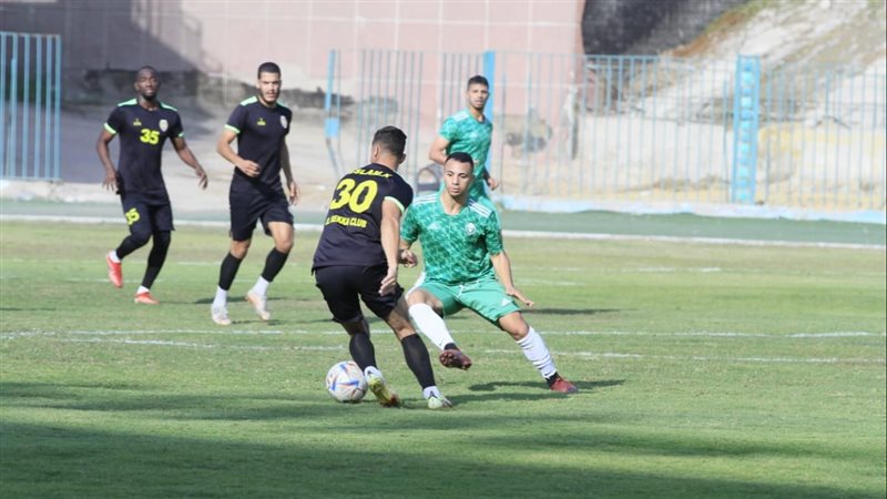 القسم الثانى، فيتو