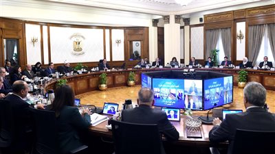 قرارات مجلس الوزراء، قرار عاجل للحكومة لتوفير الأقماح وزيوت الطعام