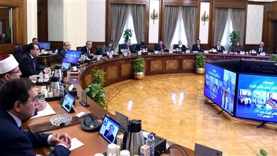 قرارات مجلس الوزراء، بدء مشروع تطوير حديقتي الحيوان والأورمان بالجيزة 