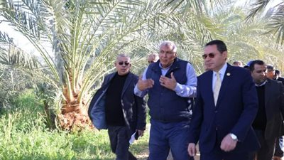 وفد زراعة النواب يبحثون مطالب مزارعي الوادي الجديد