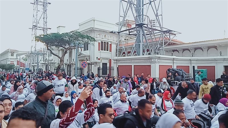 الاسكندريه 