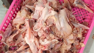 ضبط  17 طن هياكل دواجن و77 كيلو لحوم فاسدة بكرداسة