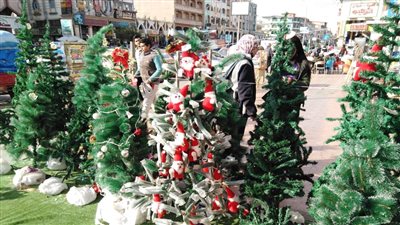 أسعار شجرة الكريسماس في الأسواق و6500 جنيه أعلى سعر