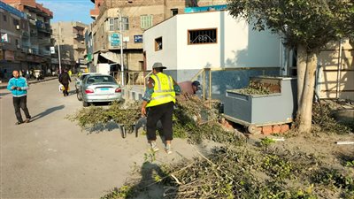 حي ثالث الإسماعيلية يواصل أعمال النظافة العامة والتجميل (صور)