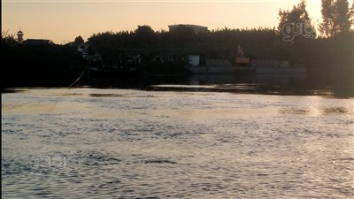  معدية أشمون ومقتل أمانى الجزار أبرز حوادث المنوفية في 2022