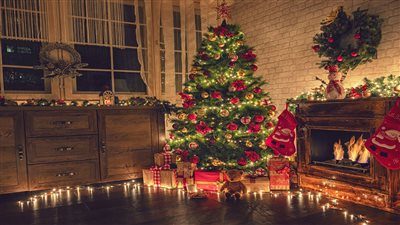 داء كريسماس، الأعراض والعلاج وسبب التسمية