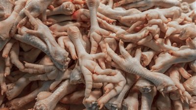 القومي للتغذية: أرجل الدجاج بديل غذائي غني بالبروتين والكيلو بـ10 جنيهات 