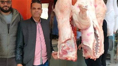 ضبط 250 كجم لحوم مذبوحة خارج المجازر بالجيزة (صور)